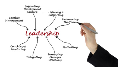 Developing skills for business leadership